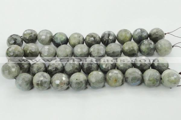 CLB715 15.5 inches 20mm faceted round labradorite gemstone beads