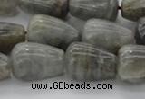 CLB724 15.5 inches 15*20mm teardrop labradorite gemstone beads