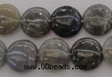 CLB737 15.5 inches 18mm flat round labradorite gemstone beads