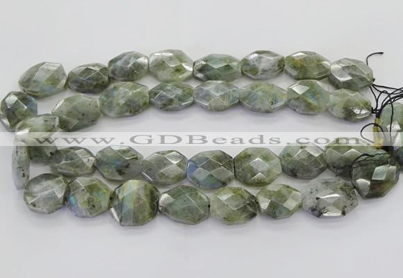 CLB767 15.5 inches 13*18mm - 18*25mm faceted freeform labradorite beads