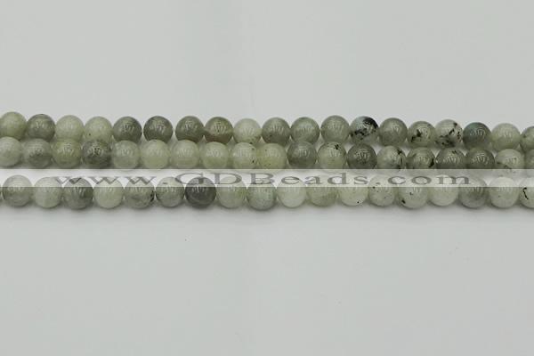 CLB852 15.5 inches 8mm round AB grade labradorite beads wholesale