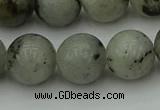 CLB855 15.5 inches 14mm round AB grade labradorite beads wholesale