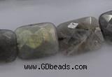 CLB95 15.5 inches 15*20mm faceted rectangle labradorite beads