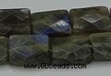 CLB963 15.5 inches 15*20mm faceted rectangle labradorite beads