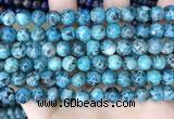 CLJ519 15.5 inches 4mm,6mm,8mm,10mm & 12mm round sesame jasper beads