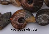 CMM01 15.5 inches 13*18mm - 30*35mm carved ammonite gemstone beads