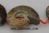 CMM02 15.5 inches 18*25mm - 35*45mm carved ammonite gemstone beads