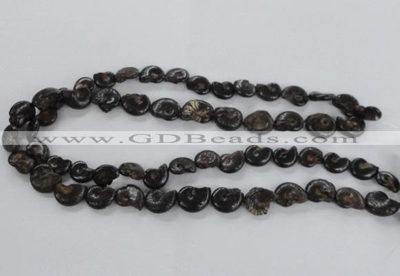 CMM50 15.5 inches 10*14mm - 12*16mm ammonite gemstone beads