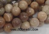 CMS03 15.5 inches 10mm round moonstone gemstone beads wholesale