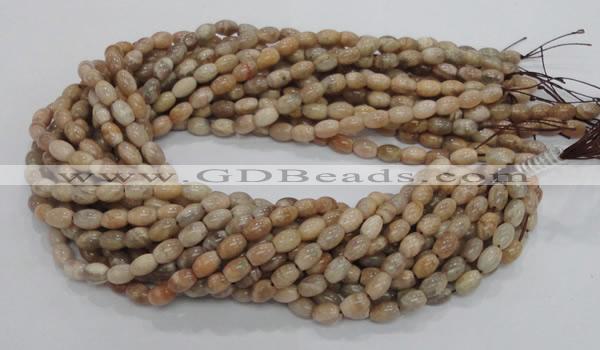 CMS06 15.5 inches 6*10mm rice moonstone gemstone beads wholesale