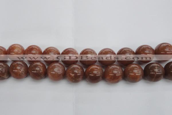 CMS1007 15.5 inches 18mm round AA grade moonstone gemstone beads