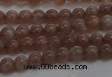 CMS1020 15.5 inches 4mm round AA grade moonstone gemstone beads