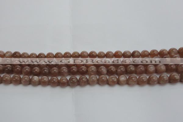 CMS1022 15.5 inches 8mm round AA grade moonstone gemstone beads