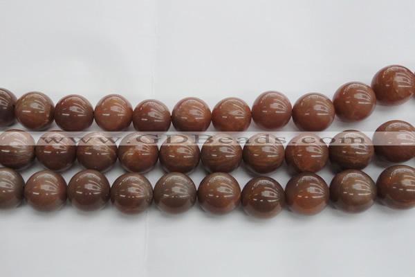 CMS1026 15.5 inches 16mm round AA grade moonstone gemstone beads