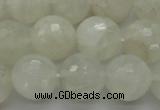 CMS1045 15.5 inches 14mm faceted round A grade white moonstone beads