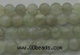 CMS1051 15.5 inches 6mm round grey moonstone beads wholesale