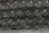 CMS1071 15.5 inches 6mm round grey moonstone beads wholesale