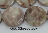 CMS114 15.5 inches 25mm faceted coin moonstone gemstone beads