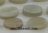 CMS1141 15.5 inches 12*20mm oval moonstone gemstone beads