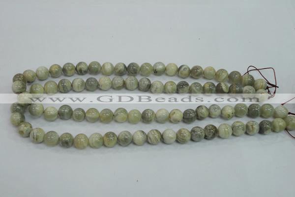 CMS121 15.5 inches 10mm round moonstone gemstone beads wholesale