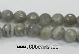 CMS124 15.5 inches 10mm faceted round moonstone gemstone beads