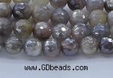 CMS1310 15.5 inches 4mm faceted round AB-color grey moonstone beads