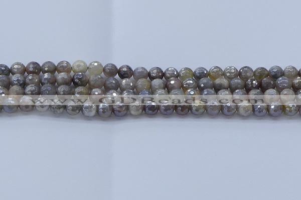 CMS1311 15.5 inches 6mm faceted round AB-color grey moonstone beads