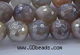 CMS1313 15.5 inches 10mm faceted round AB-color grey moonstone beads