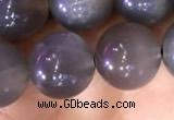 CMS1423 15.5 inches 10mm round black moonstone beads wholesale