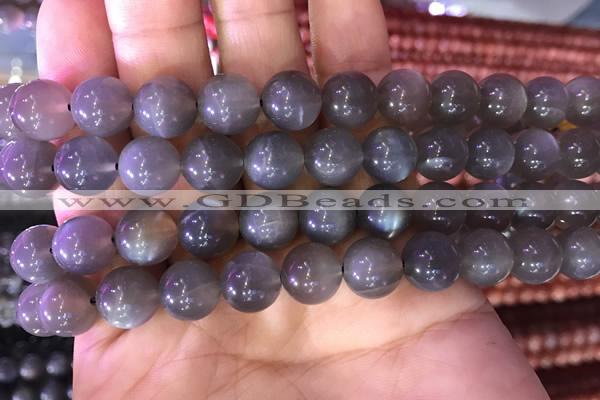 CMS1423 15.5 inches 10mm round black moonstone beads wholesale