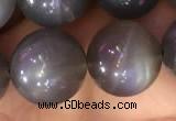 CMS1424 15.5 inches 12mm round black moonstone beads wholesale