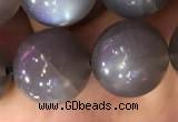 CMS1425 15.5 inches 14mm round black moonstone beads wholesale