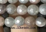 CMS1456 15.5 inches 6mm faceted round AB-color moonstone beads