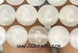 CMS1462 15.5 inches 8mm round white moonstone beads wholesale