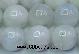 CMS1492 15.5 inches 10mm round white moonstone beads wholesale