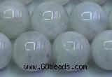 CMS1493 15.5 inches 12mm round white moonstone beads wholesale