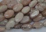 CMS15 15.5 inches 10*14mm oval moonstone gemstone beads wholesale