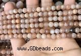 CMS1677 15.5 inches 4mm faceted round moonstone beads wholesale