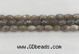 CMS1775 15.5 inches 8*12mm faceted rice AB-color moonstone beads