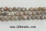 CMS1789 15.5 inches 10mm faceted coin AB-color moonstone beads