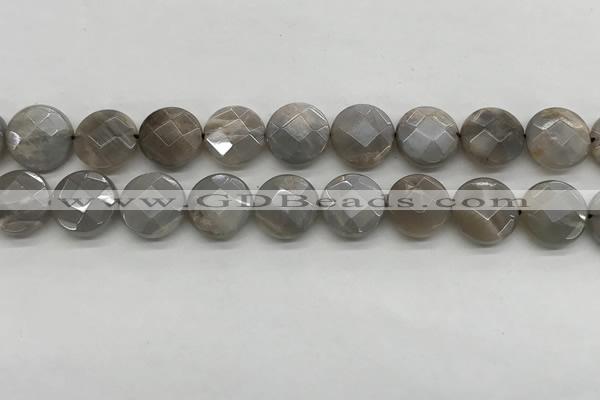 CMS1819 15.5 inches 14mm faceted coin AB-color moonstone beads