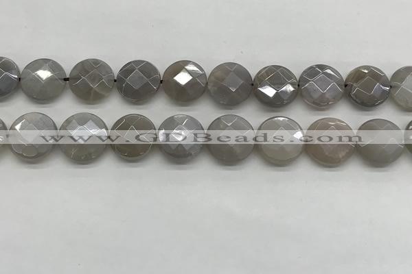 CMS1820 15.5 inches 16mm faceted coin AB-color moonstone beads