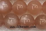 CMS1899 15.5 inches 12mm round moonstone gemstone beads