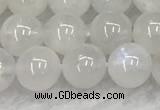 CMS1902 15.5 inches 8mm round white moonstone gemstone beads