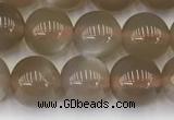 CMS1958 15.5 inches 7mm round natural moonstone gemstone beads