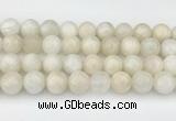 CMS2030 15.5 inches 12mm round white moonstone beads wholesale