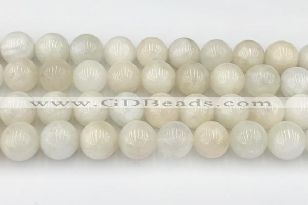 CMS2031 15.5 inches 14mm round white moonstone beads wholesale