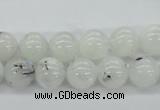 CMS204 15.5 inches 10mm round moonstone gemstone beads wholesale