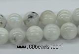 CMS206 15.5 inches 12mm round moonstone gemstone beads wholesale