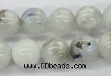 CMS207 15.5 inches 14mm round moonstone gemstone beads wholesale